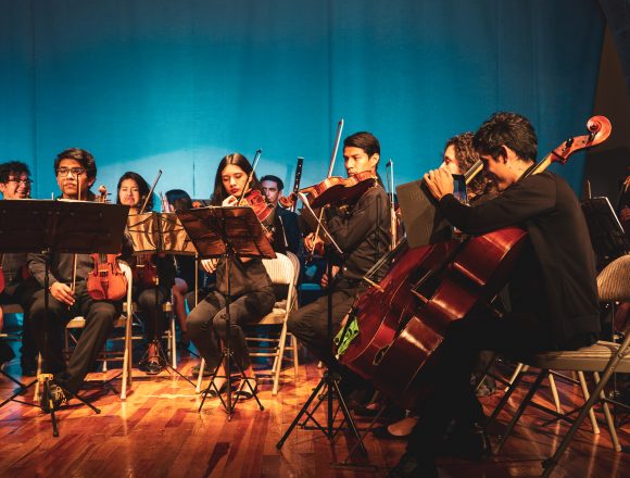 Pro Musica Youth Chamber Orchestra—Tenacity Under Pressure Pro Musica Youth Chamber Orchestra—Tenacity Under Pressure