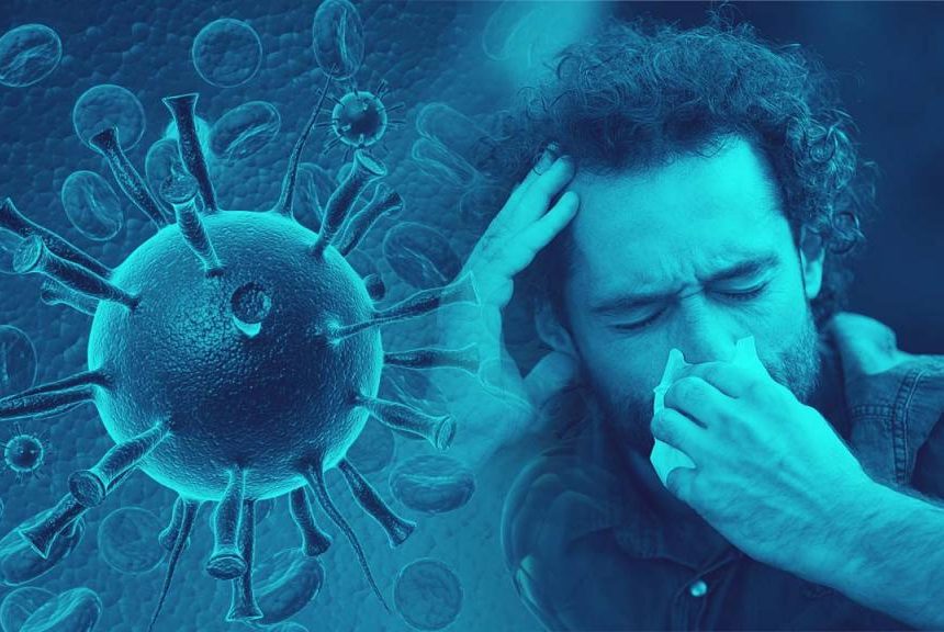 Your Amazing Immune System