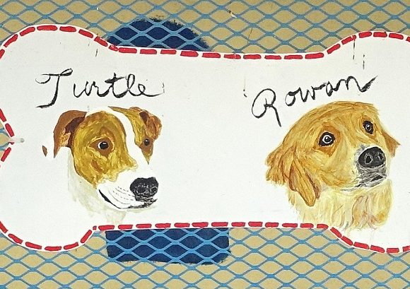 Help the SPA by Sponsoring a Casita Help the SPA by Sponsoring a Casita