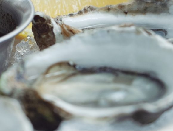 Sabor Y Vida: Ojo De Agua Sabor Y Vida: Ojo De Agua