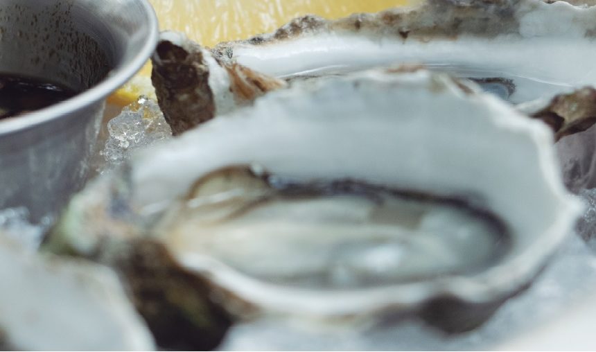 Flavor and Life: Ojo de Agua