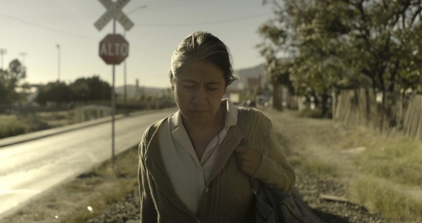 Cinema Opens With the Pre-Premiere of Sundance 2020 Winner Cinema Opens With the Pre-Premiere of Sundance 2020 Winner