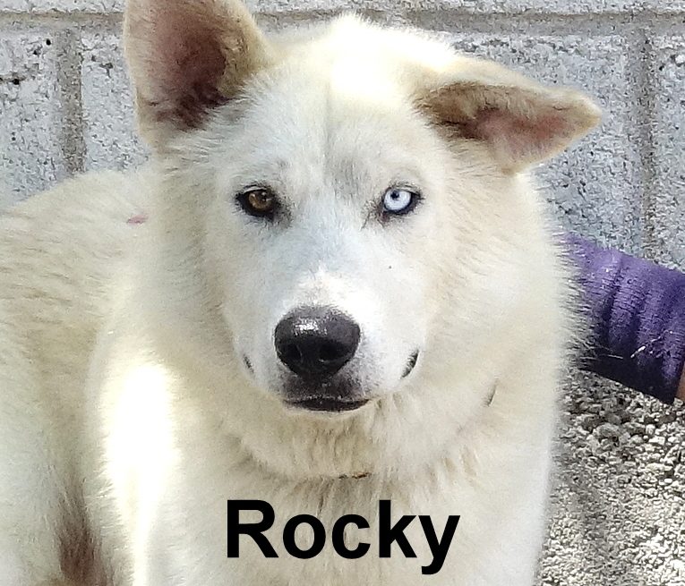 December Pets of the Month December Pets of the Month