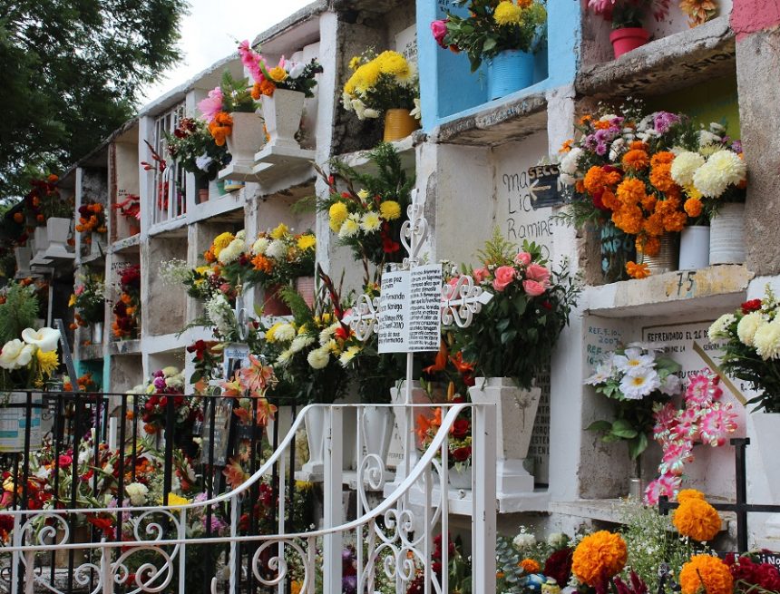 Deaths Increase: Lack of Spaces in Cemeteries Deaths Increase: Lack of Spaces in Cemeteries