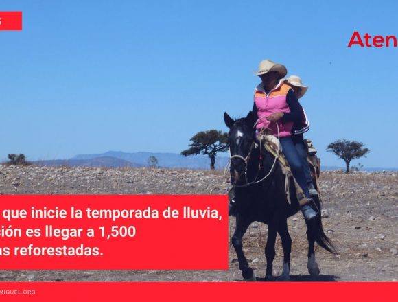 Reforestando, caminando, apoyando Reforestando, caminando, apoyando