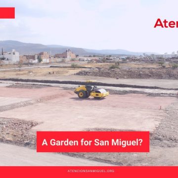 A Garden for San Miguel?