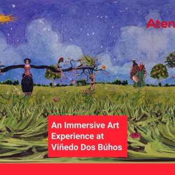 One Sunday Afternoon: An Immersive Art Experience at Viñedo Dos Búhos