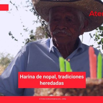 Harina de nopal, tradiciones heredadas