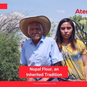 Nopal Flour, an Inherited Tradition