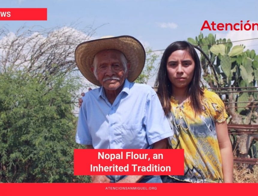 Nopal Flour, an Inherited Tradition Nopal Flour, an Inherited Tradition