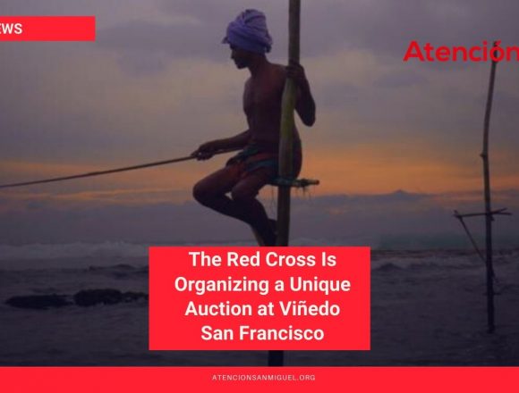The Red Cross Is Organizing a Unique Auction at Viñedo San Francisco