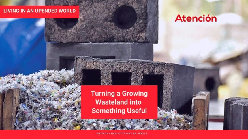 Learning to Live in an Upended World: Turning a Growing Wasteland into Something Useful