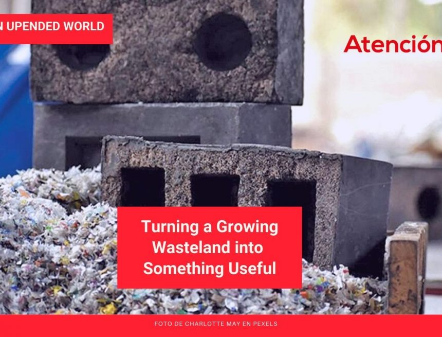 Learning to Live in an Upended World: Turning a Growing Wasteland into Something Useful Learning to Live in an Upended World: Turning a Growing Wasteland into Something Useful