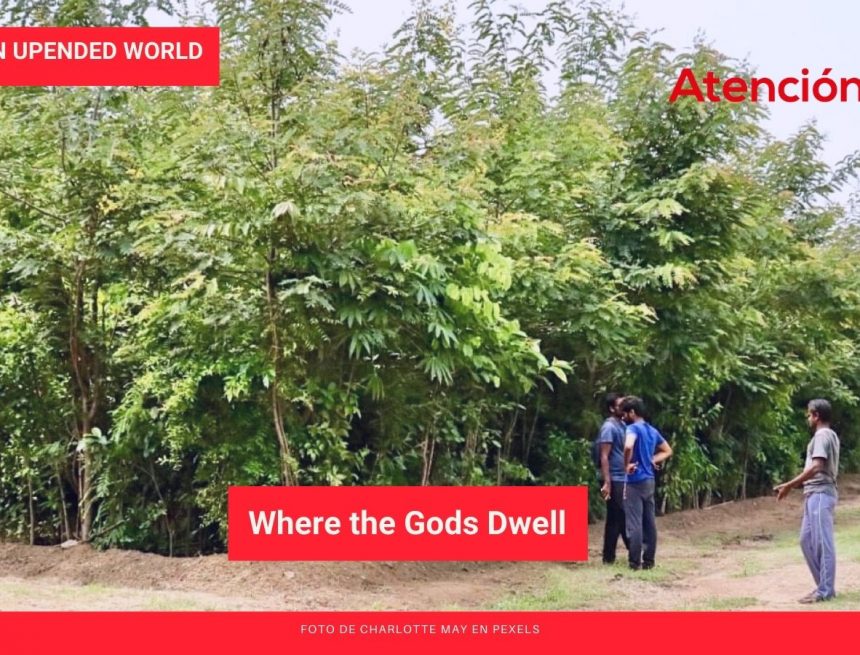 Living in an Upended World: Where the Gods Dwell Living in an Upended World: Where the Gods Dwell