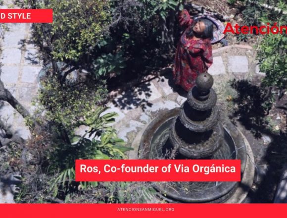 The Perfect Day of Ros, Co-founder of Via Orgánica The Perfect Day of Ros, Co-founder of Via Orgánica