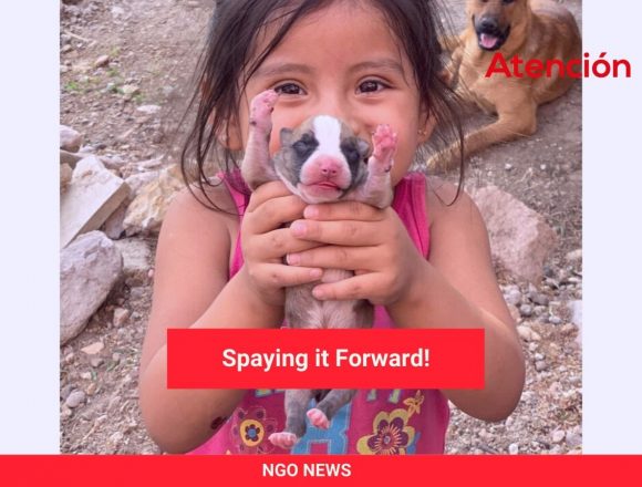Spaying it Forward! Spaying it Forward!