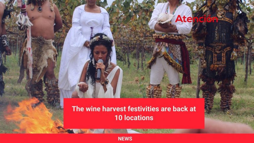 The wine harvest festivities are back at 10 locations