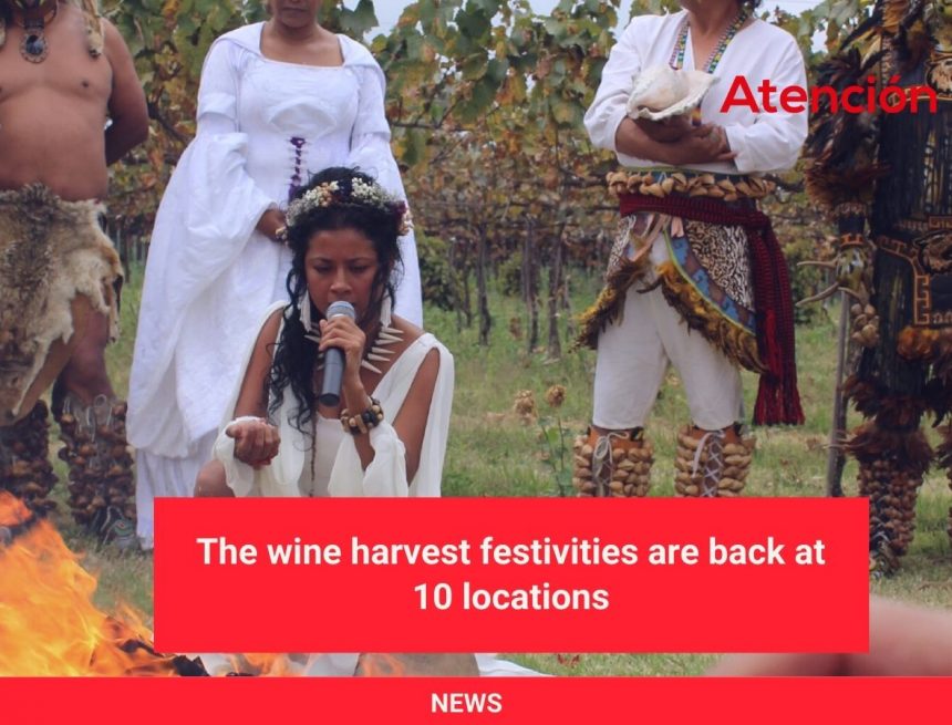 The wine harvest festivities are back at 10 locations