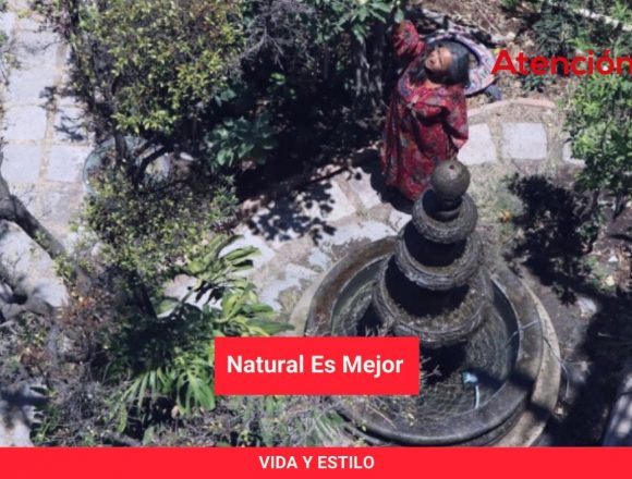 Natural es Mejor Natural es Mejor
