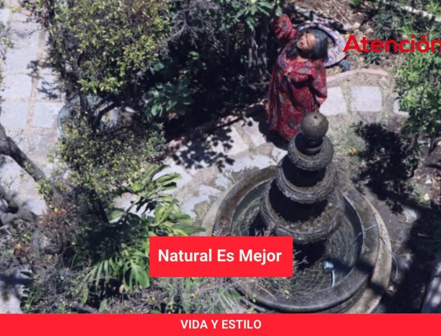 Natural es Mejor Natural es Mejor