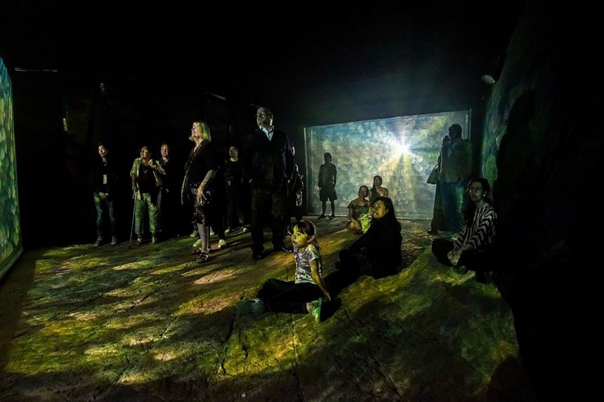 New Immersive Art Space Opens at Viñedo Dos Búhos