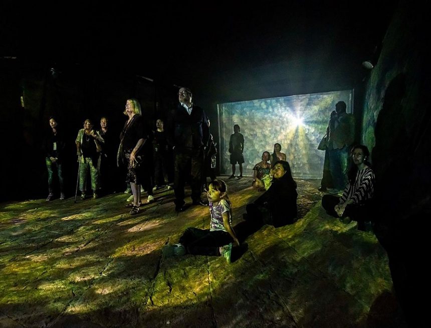 New Immersive Art Space Opens at Viñedo Dos Búhos