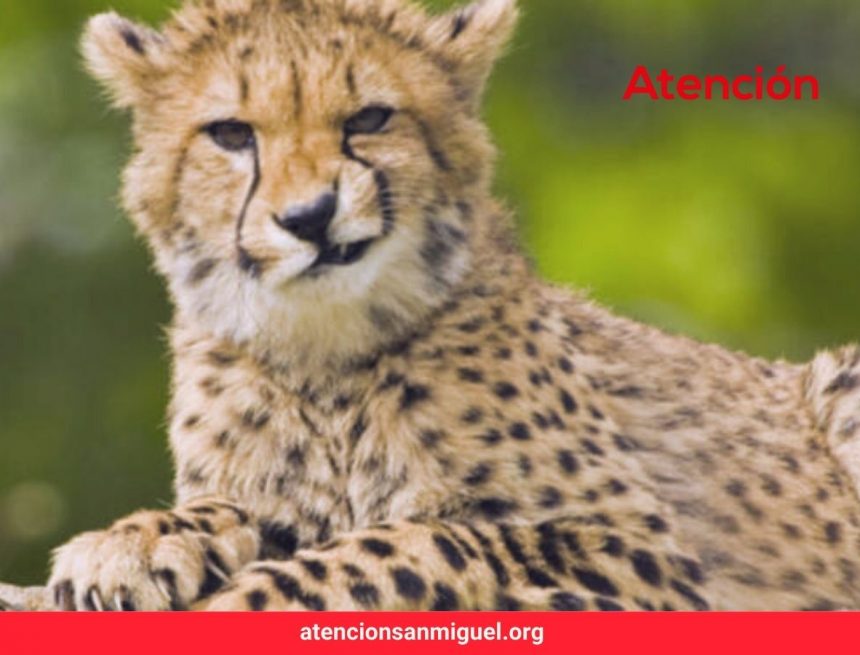 East Africa Flying Safari at half off And More Travel News East Africa Flying Safari at half off And More Travel News
